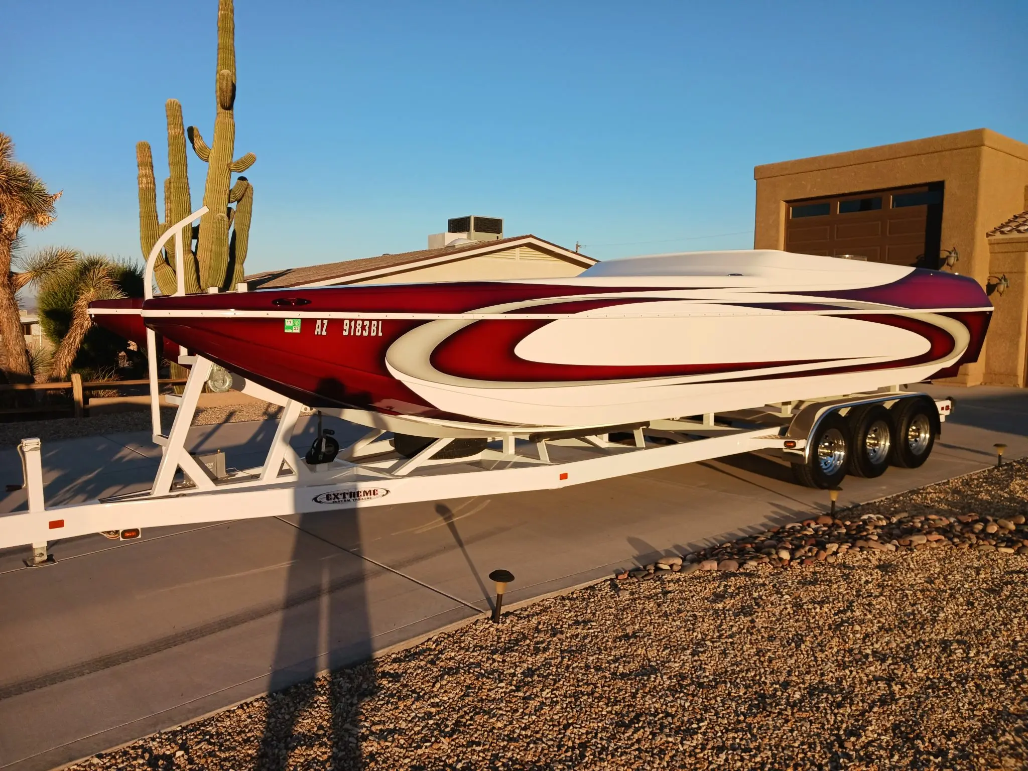 2006 Fusion cat photo 2